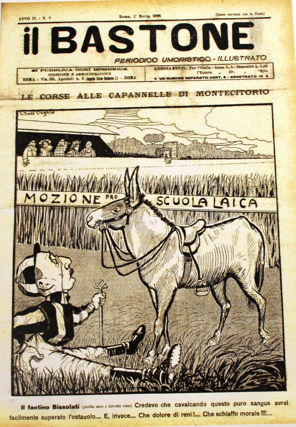 Asini, Muli, Corvi, Maiali_123.jpg